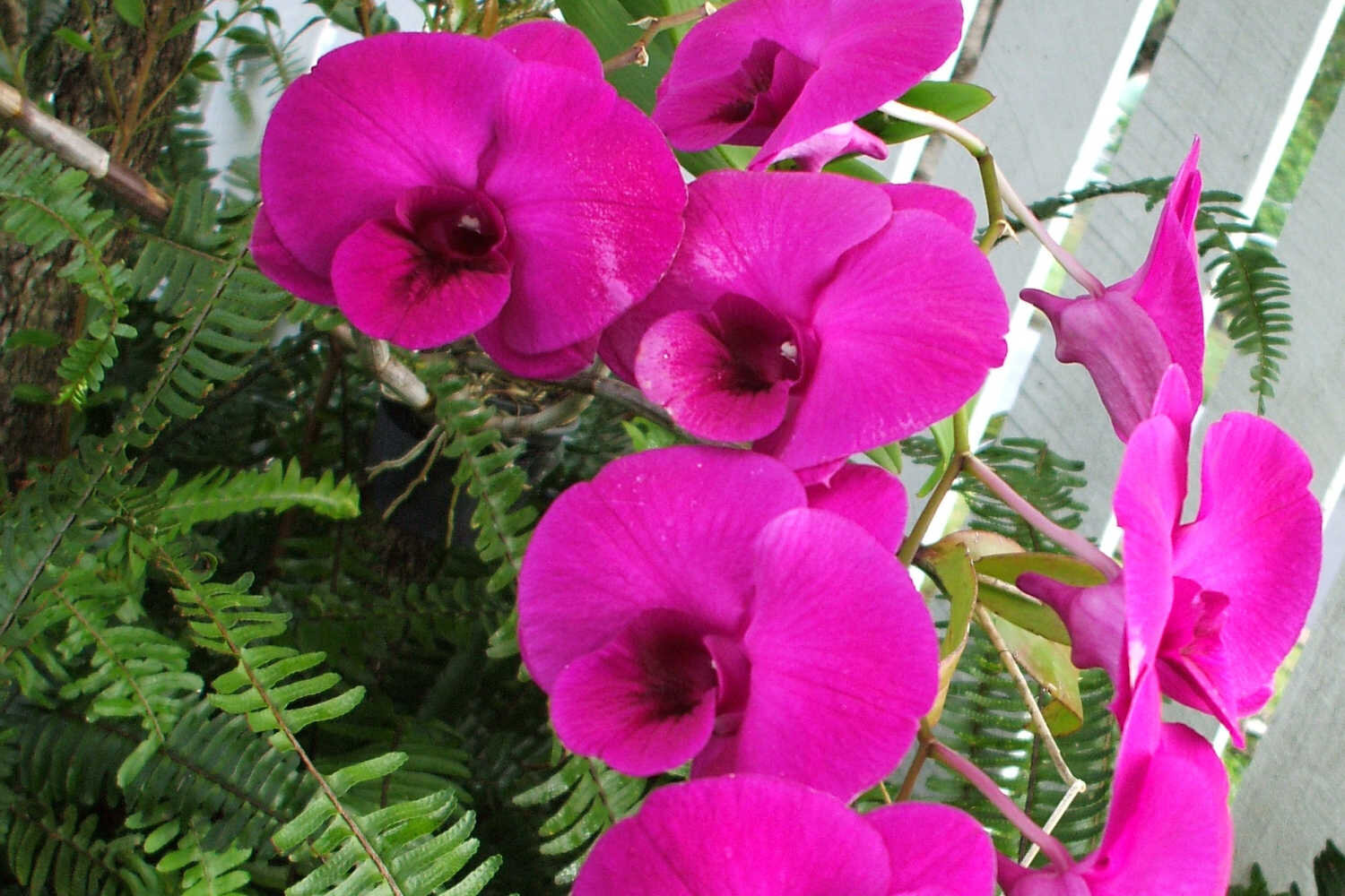 filler pic (8) (1).jpg